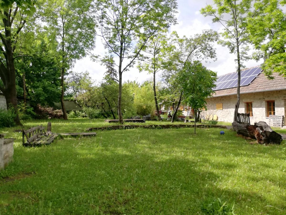 Karadi-Berger Vendeghaz Apartment Erdőbénye Exterior foto