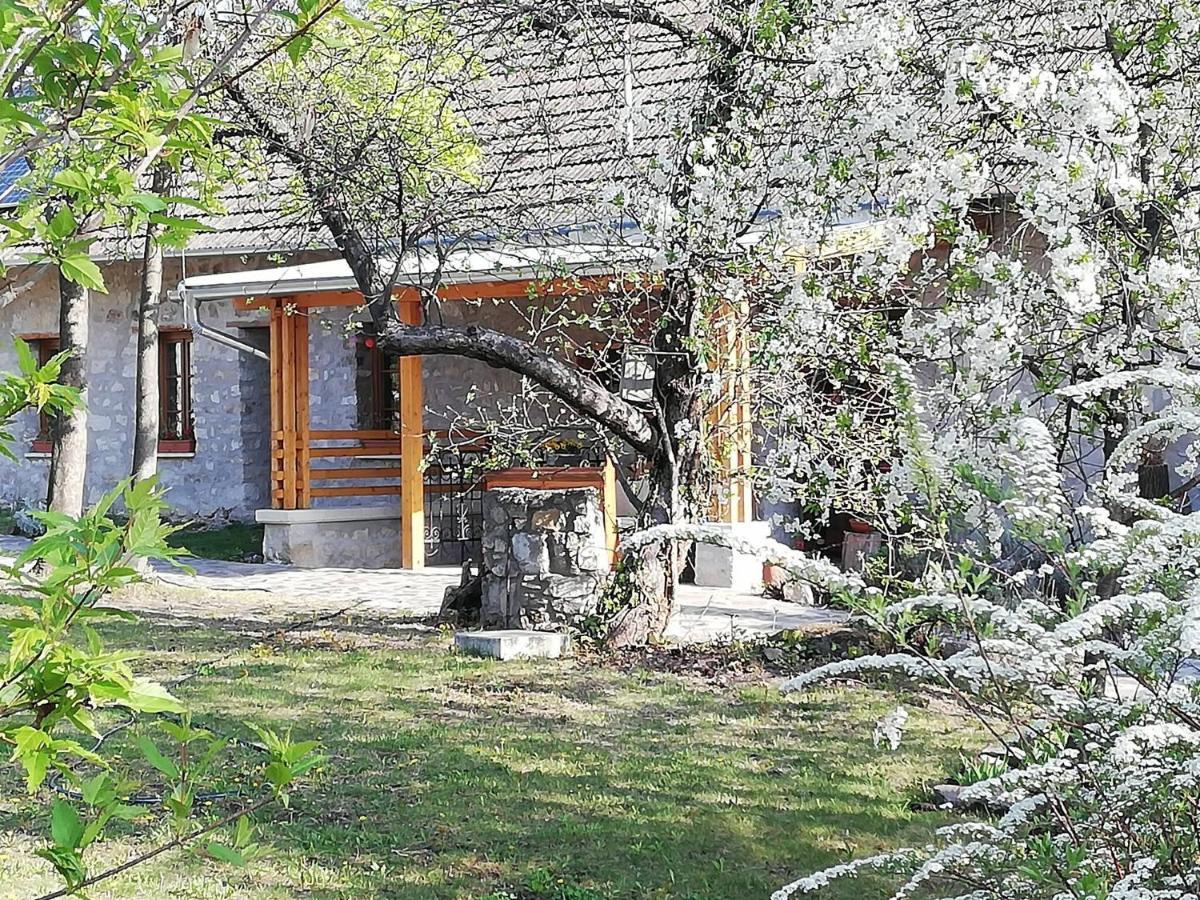 Karadi-Berger Vendeghaz Apartment Erdőbénye Exterior foto