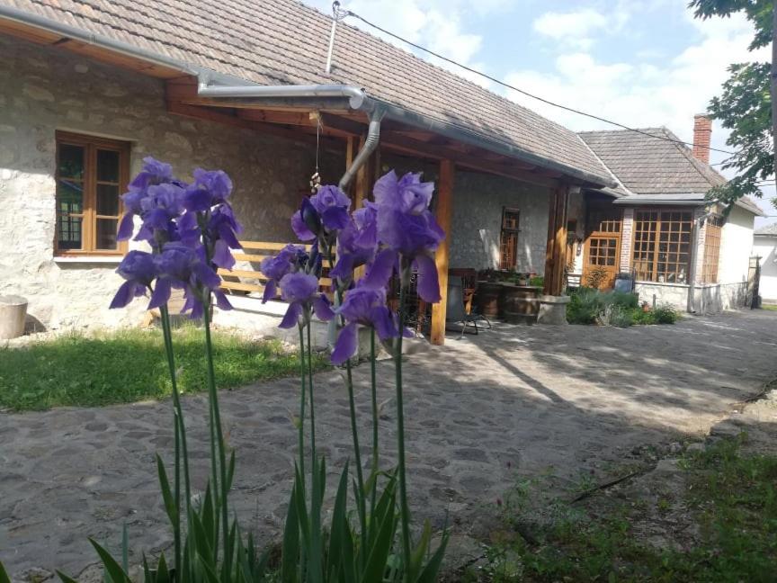 Karadi-Berger Vendeghaz Apartment Erdőbénye Exterior foto
