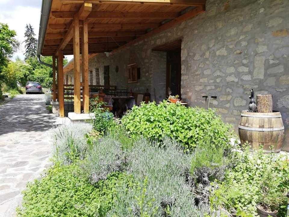 Karadi-Berger Vendeghaz Apartment Erdőbénye Exterior foto